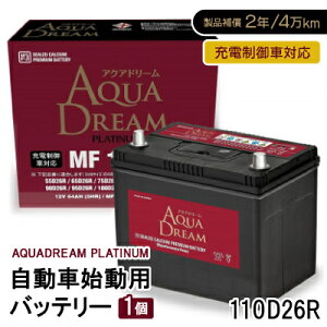 yӂ邳Ɣ[ŁzAQUADREAM PLATINUM Ԏnpobe[ [dԑΉ 110D26R 1yzsnFꌧzy1565918z