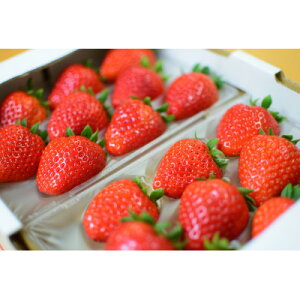 �y�ӂ邳�Ɣ[�Łz�q�_�ƒ����r�ޗǌ��Y�u�����h�������y�Ós��(���Ƃ�)�z2�p�b�N�y�z���s�n��F�����E�k�C���E���ꌧ�z�y1565951�z