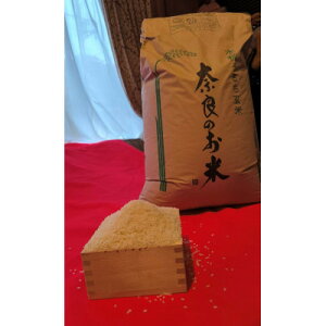 yӂ邳Ɣ[Łzyߘa7NYzޗǌYqmqJ@30kgy1586758z