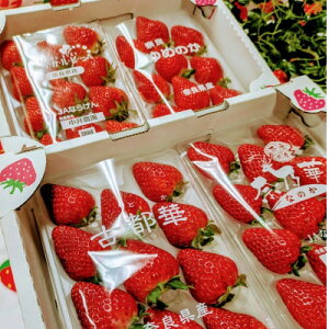 yӂ邳Ɣ[ŁzޗǌY̐Hה׃ZbgyzsnFEkCEꌧEkzy1609082z