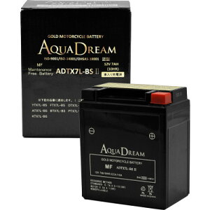 yӂ邳Ɣ[ŁzAQUADREAM GOLD oCNpobe[ t[d ADTX7L-BS II 1yzsnFꌧzy1641494z