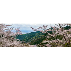 【ふるさと納税】天理の風景1『FLEETING DANCE ～儚い舞～』 A4額装プリント【1712602】