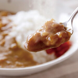 【ふるさと納税】天理カレー 辛口 10個セット【1070778】