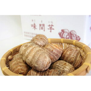 【ふるさと納税】味間芋 3kg 【1071474】