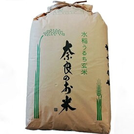 【ふるさと納税】【令和8年10月中旬以降発送】ひのひかり(奈良県天理産)玄米30kg【令和8年産】(一等米)【1085320】