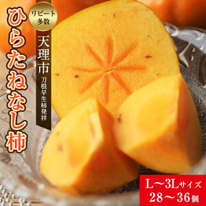 yӂ邳Ɣ[ŁzyR7N10ȍ~z`˂̒nEVŝЂ炽˂Ȃ`(L`3LTCYA28`36)_ `  Ȃ` t[c  ʕ lC    Mtg 