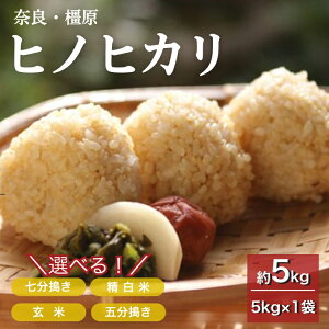 yӂ邳Ɣ[ŁzyVāzޗǁE@_≻w엿sgpyߘa7NYzqmqJ 5kgi5kg×1܁j