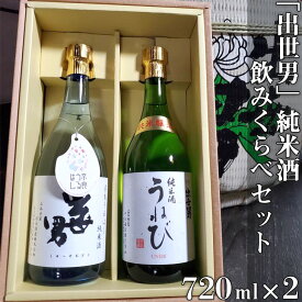 【ふるさと納税】「出世男」純米酒飲みくらべセット（日本酒）「奈良うるはし純米酒出世男」720ml 「純米酒うねび」720ml【お中元】｜日本酒 お酒 純米酒 飲み比べセット 家飲み 宅飲み ご褒美 ギフト プレゼント