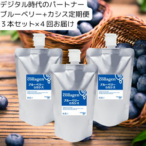 yӂ邳Ɣ[ŁzyցzR[QhN u[x[{JVX 3{Zbgi3j×4i3ɂ͂j eEᐸJɖ10`30ml erłЉꂽR[Q
