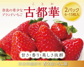 【ふるさと納税】甘さ格別！奈良の高級いちご「古都華」2パックセット ※2027年1月～発送
