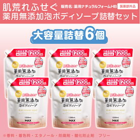 【ふるさと納税】肌荒れを防ぐ薬用無添加　泡ボディソープ　詰替セット　6個入　＜無添加生活シリーズ＞｜無香料 無着色 パラベンフリー