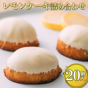 yӂ邳Ɣ[ŁzP[Llߍ킹i20j