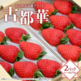 【ふるさと納税】奈良県産高級ブランド　古都華 約270g×2パック ※2026年1月中旬頃より順次発送予定