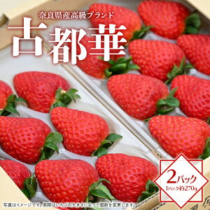 yӂ邳Ɣ[ŁzޗǌYuh@Ós 270g×2pbN 2026N1{菇\