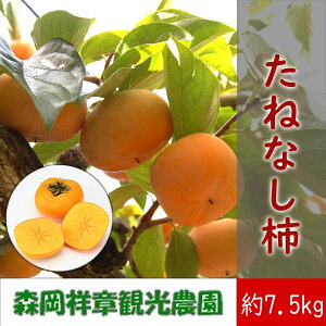 yӂ邳Ɣ[Łzy\tz ޗǌY ˂Ȃ` 7.5kg ^ޗ R j {   t[c ƍ͔|  W Â fU[g Ԍ ʌ Xˏ͊ό_