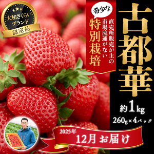 yӂ邳Ɣ[Łz2025N12_򂢂uÓs؁v4pbN ʍ͔|_Y^ޗǌ  12 s\ W ʌ Ԍ uh 啟 lC _ ʍ͔| Odamaki_