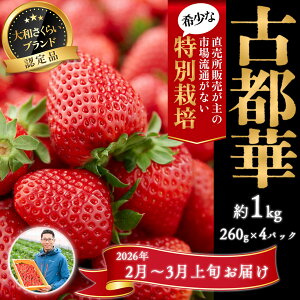 yӂ邳Ɣ[Łz2`3_򂢂uÓs؁v4pbN ʍ͔|_Y^ޗǌ  s\ W ʌ Ԍ uh 啟 lC _ ʍ͔| Odamaki_