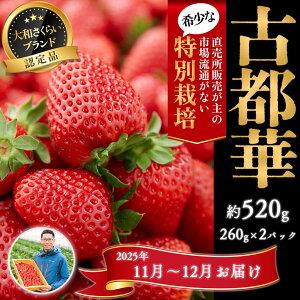 yӂ邳Ɣ[Łz11`12_򂢂uÓs؁v2pbN ʍ͔|_Y^ޗǌ  12 s\ W ʌ Ԍ uh 啟 lC _ ʍ͔| Odamaki_ 