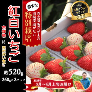 yӂ邳Ɣ[Łz3`4{guÓs؁v2pbN ʍ͔|_Y^ޗǌ  s\ W _ Hה Odamaki_ M-B11