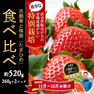 yӂ邳Ɣ[Łz11`12_򂢂 uÓs؁Pv2pbN Hה ʍ͔|_Y^ޗǌ s  s\ Odamaki_ M-BD13