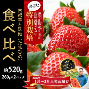 yӂ邳Ɣ[Łz1`2{_򂢂 uÓs؁Pv2pbN Hה ʍ͔|_Y^ޗǌ s  s\ Odamaki_ M-B8