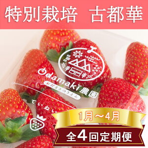 yӂ邳Ɣ[Łz1`4ց_򂢂uÓs؁v2pbN ʍ͔|_Y^ޗǌ  s\ W ʌ Ԍ uh 啟 lC _ ʍ͔|  S4 Odamaki_