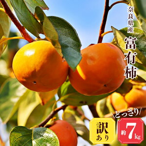 yӂ邳Ɣ[Łz 󂠂 ` e xL` x_ ǂ  7kg | t[c  ʕ `  JL fU[g xL` ޗǌ ܞs