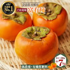 ★4.8獲得 訳あり 富有柿 ご自宅用（ 約 7kg ・ 約24個 ～ 30個 入り）| フルーツ 果物 くだもの 柿 かき カキ 奈良県 五條市 訳あり 日本一の柿のまち 秋の味覚 自宅用 家庭用 特産品 先行予約