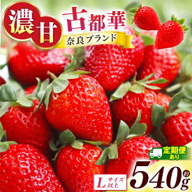 【ふるさと納税】【 定期便 2回 】 いちご 古都華 約540g （270g×2P）Lサイズ以上 | フルーツ くだもの 果物 イチゴ ことか コトカ 古都華 苺 フレッシュ 果実 新鮮 ブランド苺 ストロベリー 冷蔵 希少 逸品 品種 旬 2月 産地直送 農家直送 送料無料 西岡農園 奈良県 五條市