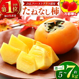 【ふるさと納税】 今季発送分受付中！ 11/9まで！たねなし 柿 約 5kg ～約 7kg【 定期便 】も選べる！ たねなし柿 ＆ 古都華 いちご | フルーツ 果物 くだもの 柿 かき カキ たねなし 種無し 種なし 奈良県 五條市 五條の柿 西岡農園