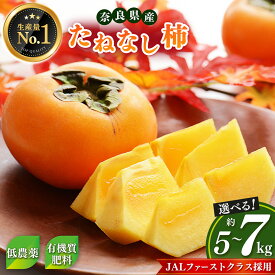 【ふるさと納税】 大人気！ リピーター多数！ たねなし柿 | フルーツ 果物 くだもの 柿 かき カキ たねなし 種無し 種なし 奈良県 五條市 五條の柿 西岡農園