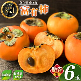 【ふるさと納税】 柿 贈答品 富有柿 6玉入り 3Lサイズ | フルーツ 果物 くだもの 柿 かき カキ 奈良県 五條市 ※ 11月上旬 発送