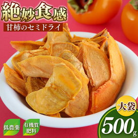 【ふるさと納税】柿 の セミドライ ( 大袋 ) | 柿チップ 無添加 ドライフルーツ 果物 手軽 おやつ フルーツ くだもの 果物 柿 かき カキ 奈良県 五條市