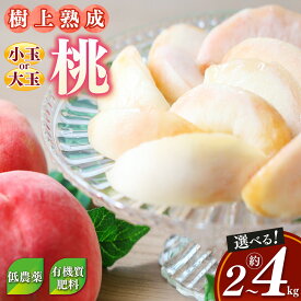 【ふるさと納税】 桃 （ 小玉 or 大玉） 約2～4kg 箱 先行予約 | フルーツ 果物 くだもの もも モモ ピーチ 奈良県 五條市 果実 果汁