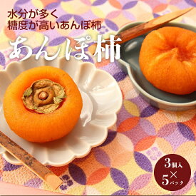 【ふるさと納税】 あんぽ柿 3個入パック（約150g）× 5パック | フルーツ 果物 くだもの 柿 かき カキ 干し柿 あんぽ柿 お菓子 奈良県 五條市