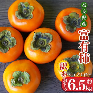 yӂ邳Ɣ[Łz 󂠂 ` xL` TCYoo6.5kg |t[c ʕ  `  JL xL` ޗǌ ܞs