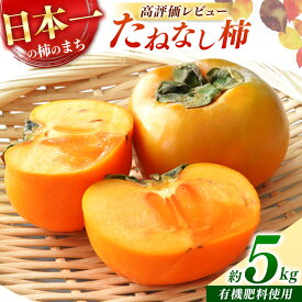 【ふるさと納税】 柿 たねなし柿 約 5 kg | フルーツ 果物 くだもの 柿 かき カキ 種なし 特産品 甘い 秋 旬 奈良県 五條市
