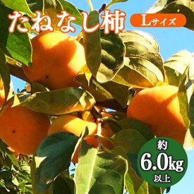 【ふるさと納税】たねなし柿 約6.0kg | フルーツ 果物 くだもの 柿 かき カキ 奈良県 五條市