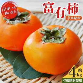 【ふるさと納税】 柿 富有柿 約 4kg | フルーツ 果物 くだもの 柿 カキ かき お歳暮 贈答品 贈り物 奈良県 五條市 ※11月上旬 発送予定