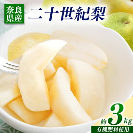 【ふるさと納税】 梨 二十世紀梨 3kg | フルーツ 果物 くだもの 梨 なしナシ 奈良県 五條市 ※2026年 9月上旬頃から順次発送予定