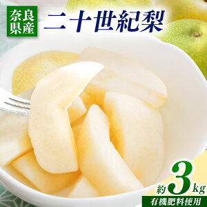 yӂ邳Ɣ[Łz  \I 3kg | t[c ʕ   ȂiV ޗǌ ܞs  9{珇\