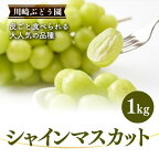  シャインマスカット （ 1kg ） | 果物 くだもの フルーツ シャイン マスカット ぶどう 葡萄 ブドウ 奈良県 五條市