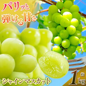 yӂ邳Ɣ[Łz VC}XJbg i 1kg j | ʕ  t[c VC }XJbg Ԃǂ  uhE ޗǌ ܞs