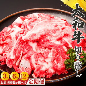 yӂ邳Ɣ[ŁzyցzޗǌYјa a ؂藎 500g i250g×2jb  ɂ jN    a Ԑg Y a ؂藎Ƃ Ⓚ ޗǌ ܞs
