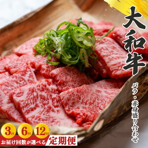 yӂ邳Ɣ[ŁzyցzޗǌYјa ao E Ԑg荇킹ē 500g |  ɂ jN    a Ԑg Y a o 킹 Ⓚ ޗǌ ܞs