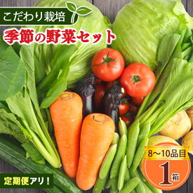 【ふるさと納税】 定期便 アリ！ 生命の農法（ 無化学農薬 ・ 無化学肥料栽培 ） 季節の野菜 セット | ヤサイ 野菜 やさい 詰め合わせ 奈良県 五條市