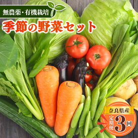 【ふるさと納税】 野菜 【 定期便 3回 】 生命の農法（ 無化学農薬 ・ 無化学肥料栽培 ） 季節の野菜 セット | ヤサイ 野菜 やさい 詰め合わせ 奈良県 五條市