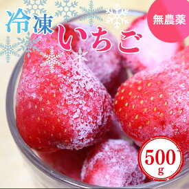 【ふるさと納税】冷凍いちご 約500g (100gx5パック) | フルーツ くだもの 果物 いちご イチゴ 冷凍 奈良県 五條市