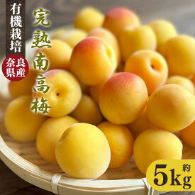 【ふるさと納税】有機栽培　完熟南高梅 5kg | ＜※6月中旬〜7月上旬頃順次発送予定＞果実 かじつ カジツ 梅 うめ ウメ 奈良県 五條市