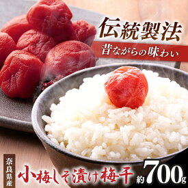 【ふるさと納税】有機栽培 小梅しそ漬け 梅干 700g | 果実 かじつ カジツ 梅 うめ ウメ 梅 梅干し うめぼし 奈良県 五條市